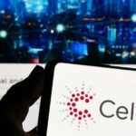 셀레스티카 로고