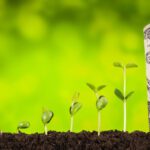 주식 투자 전략