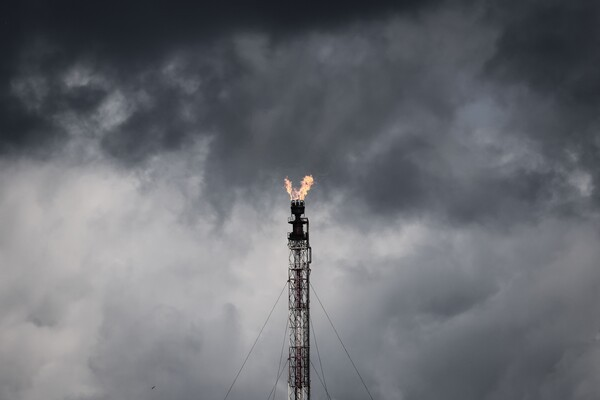 IEA 비축유 방출